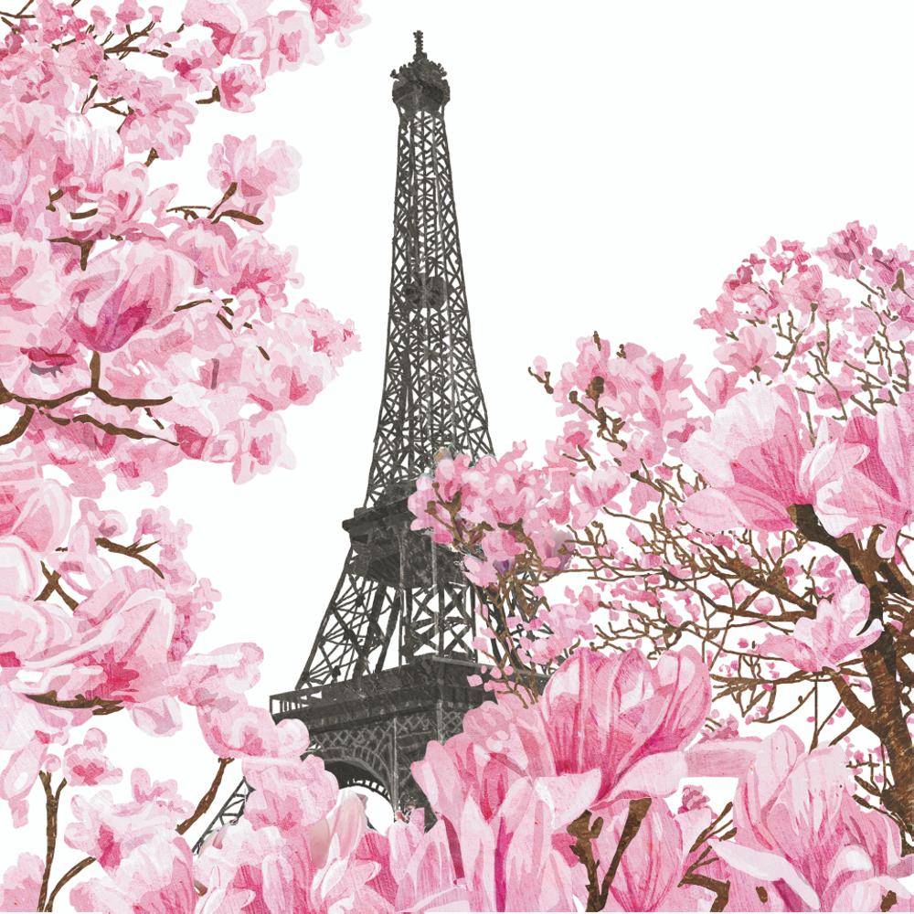 The Eiffel Tower seen through magnolia blossoms